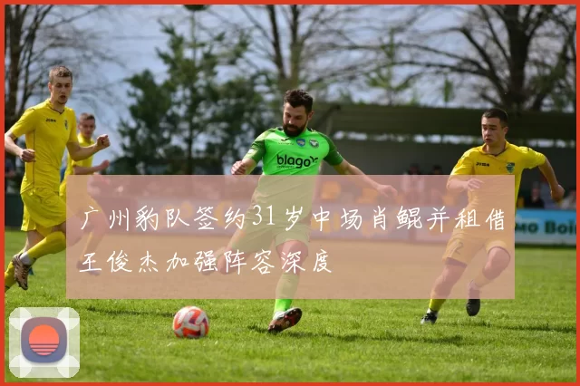 广州豹队签约31岁中场肖鲲并租借王俊杰加强阵容深度
