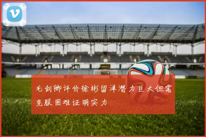 毛剑卿评价徐彬留洋潜力巨大但需克服困难证明实力