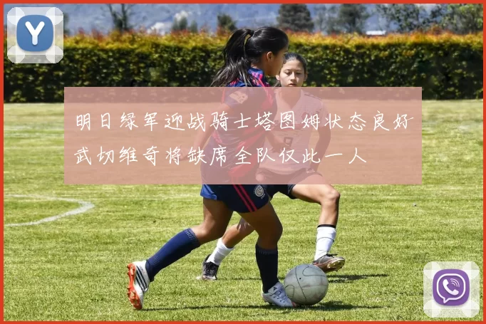 明日绿军迎战骑士塔图姆状态良好武切维奇将缺席全队仅此一人